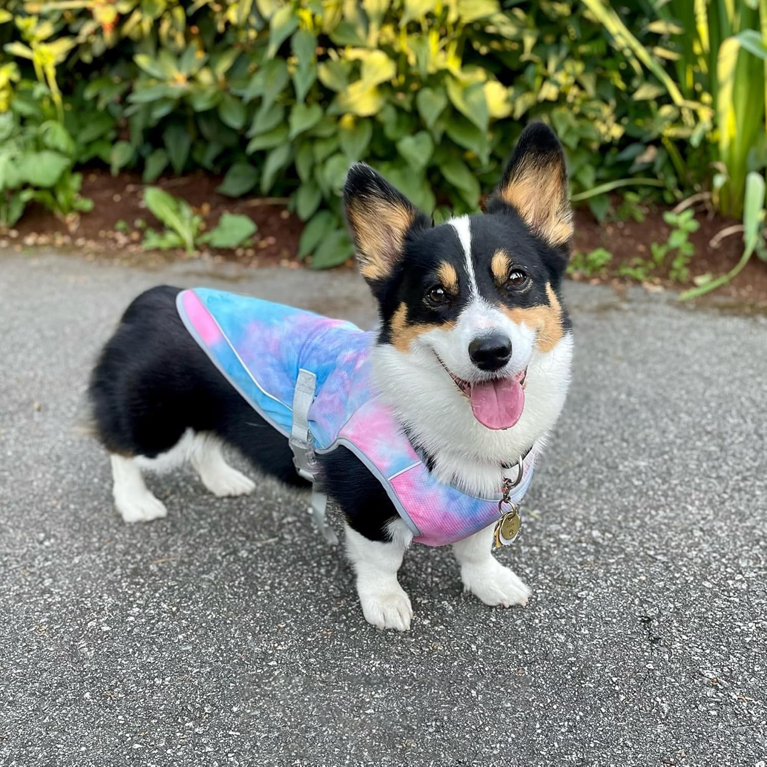 Evaporative Cooling Dog Vest