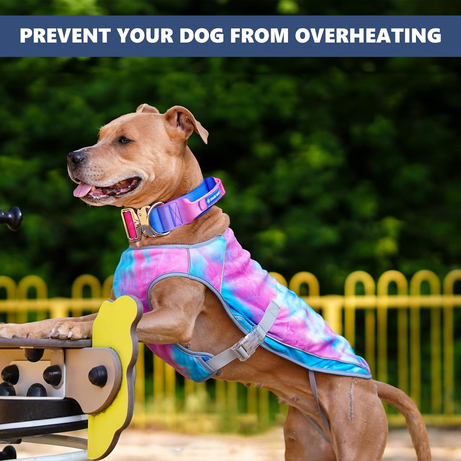 Evaporative Cooling Dog Vest Evaporative Cooling Dog Vest